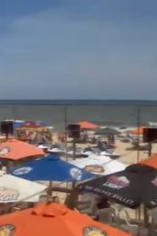 Amerika (Florida) George Island Plajı Blue Parrot Cafe Canlı izle