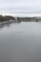 İzlanda Baş Kenti Reykjavik Canlı İzle HD Kamera