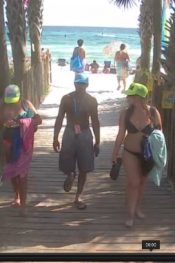 Amerika Florida Panama Plajı Sandpiper Resort -2- Canlı izle