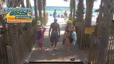 Amerika Florida Panama Plajı Sandpiper Resort -2- Canlı izle