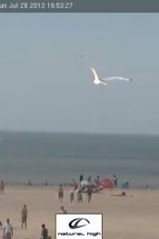 Hollanda Zeeland Plajı Natural High Restaurant Canlı İzle