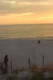 Amerika Florida Panama Sahili Canlı izle