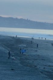 Güney SAN DIEGO Sörf Del Mar Plajı Canlı İzle
