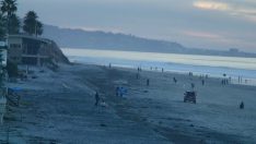 Güney SAN DIEGO Sörf Del Mar Plajı Canlı İzle