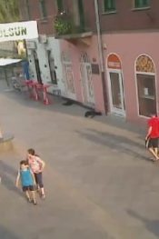 Bosna Hersek Zenica Canlı izle