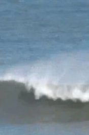 Amerika Kuzey Carolina Plajı Canlı izle