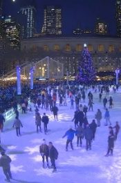 New York Manhattan Bryant Park Buz Pisti Canlı izle