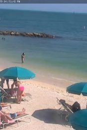 Amerika FL. Key West Fort Zachary Taylor Tarihi Devlet Parkı Canlı izle