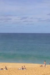 Hawaii Waimea Bay Plajı Canlı izle