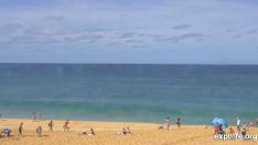 Hawaii Waimea Bay Plajı Canlı izle