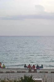 Florida Panama City Beach Emerald Resort  (plaj) Canlı izle
