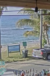 Amerika Virjin Adaları Beach Bar Canlı izle