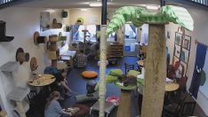 Kaliforniya San Diego Kedi Kafe Canlı izle