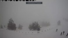 Bolu Kartalkaya Kayak Merkezi Canlı izle