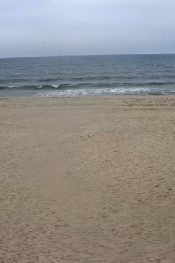 New York Cooper’s Beach (plaj) Canlı izle