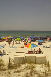 Amerika Florida Pelican Beach Canlı izle