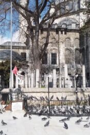 İstanbul – Eyüp Cami Canlı izle